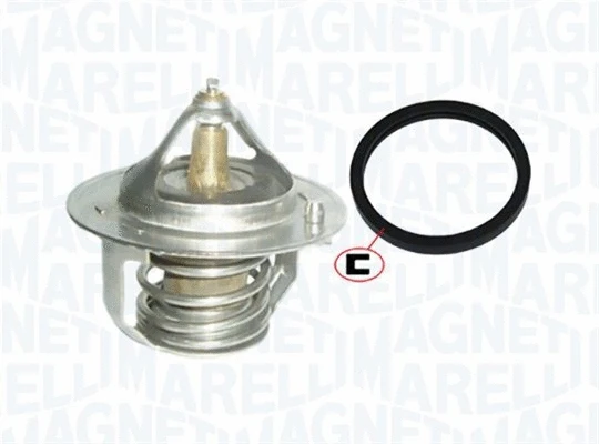 Thermostat, coolant (352317001890)