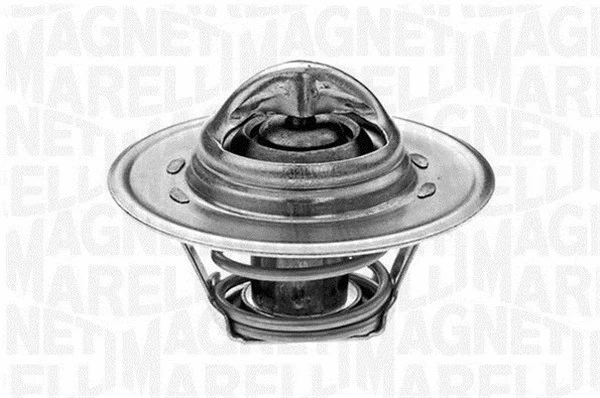 Thermostat, coolant (352020082000)