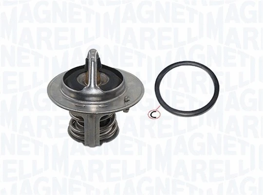 Thermostat, coolant (352317003050)