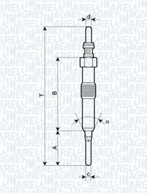 Glow Plug (062900089304)