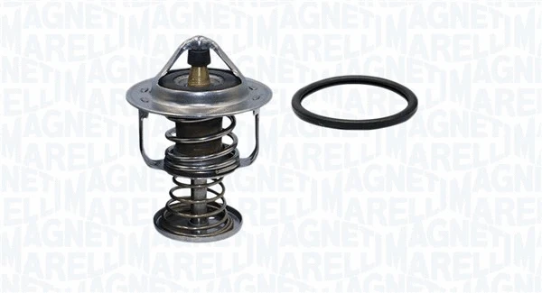 Thermostat, coolant (352317004880)