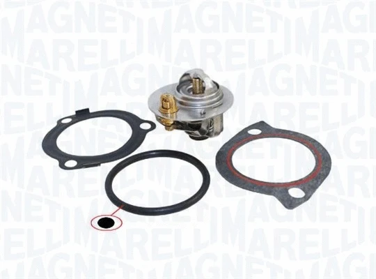 Thermostat, coolant (352317002950)