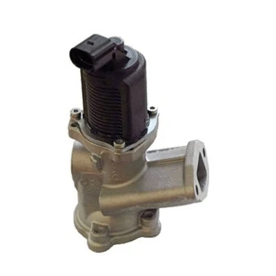 EGR Valve (571822112002)