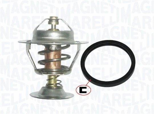 Thermostat, coolant (352317101070)