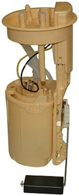 Fuel Supply Module (313011313027)