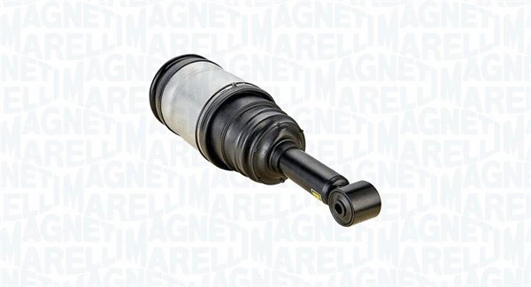Air Suspension Strut (350757000001)