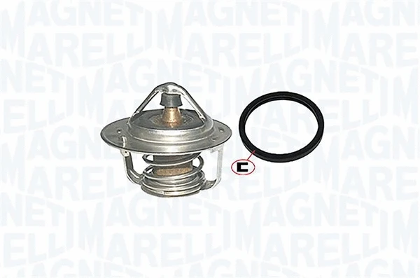 Thermostat, coolant (352317000620)