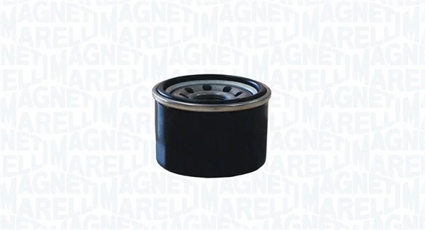 Oil Filter (153071760756)