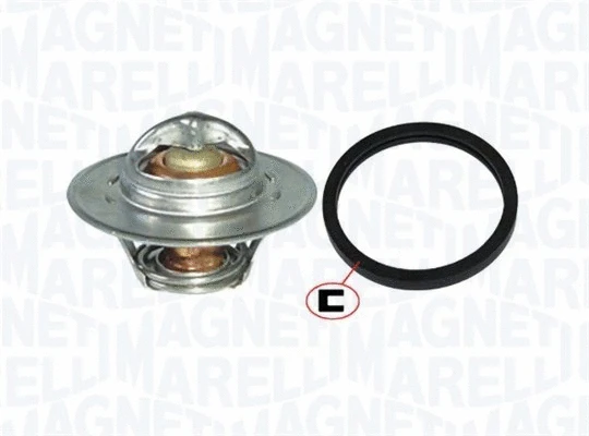 Thermostat, coolant (352317101430)
