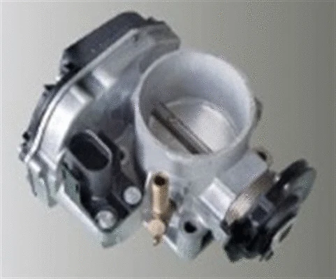 Throttle Body (359000602810)
