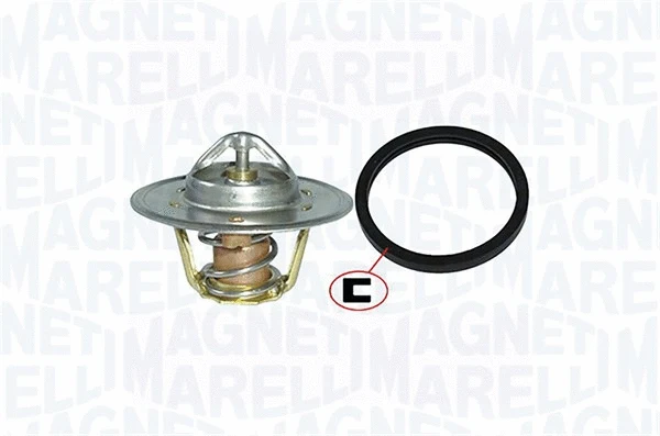 Thermostat, coolant (352317000560)