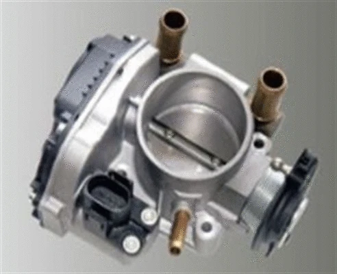 Throttle Body (359000602840)