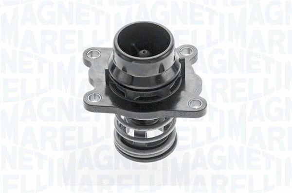 Thermostat, coolant (352054487000)