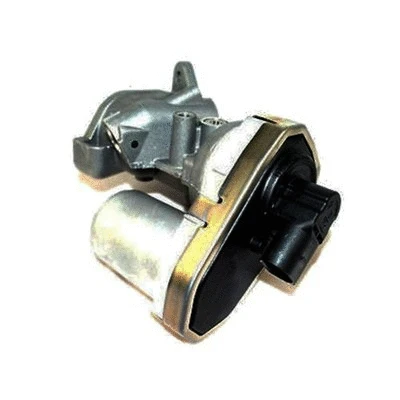 EGR Valve (571822112038)
