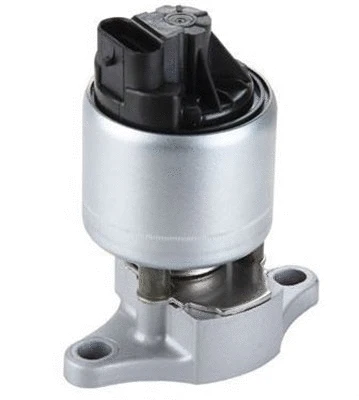 EGR Valve (359000604430)
