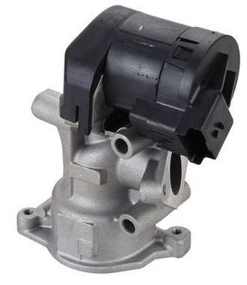 EGR Valve (359000604290)