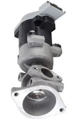 EGR Valve (359000604610)