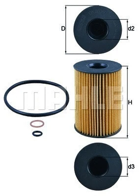 Oil Filter (154705394900)