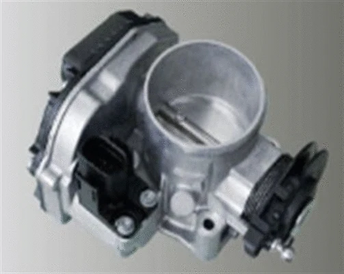 Throttle Body (359000602860)