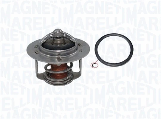 Thermostat, coolant (352317003830)