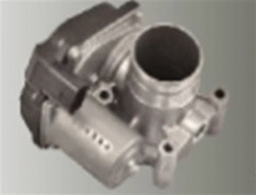 Throttle Body (359000602920)