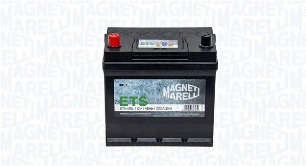 Starter Battery (069045330016)