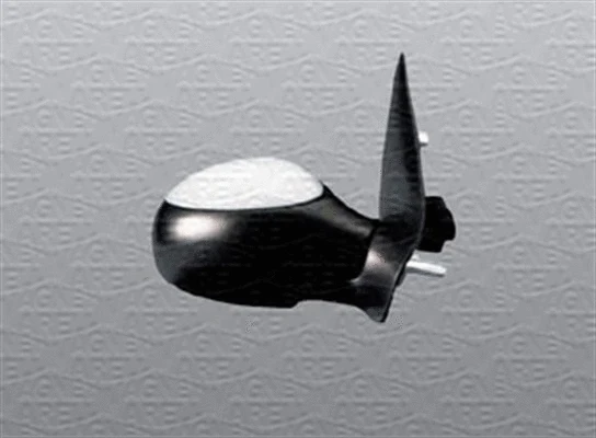 Exterior Mirror (351991109890)