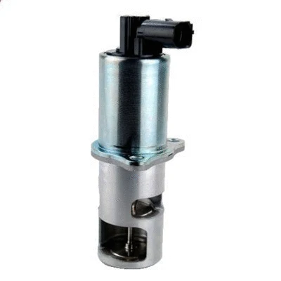 EGR Valve (571822112016)