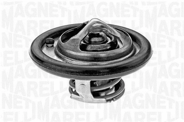 Thermostat, coolant (352044588000)