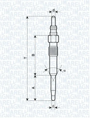 Glow Plug (062900038304)