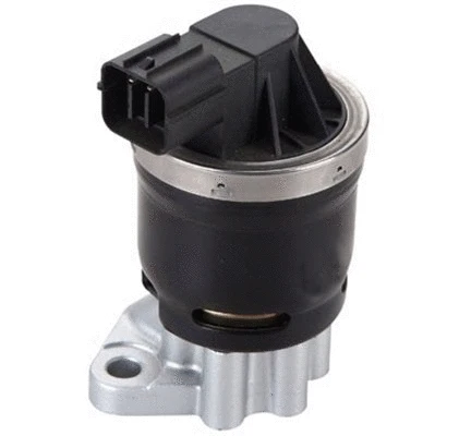 EGR Valve (571822112116)