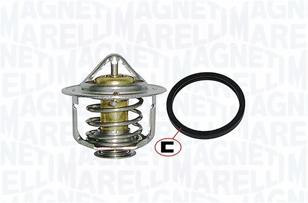 Thermostat, coolant (352317000930)