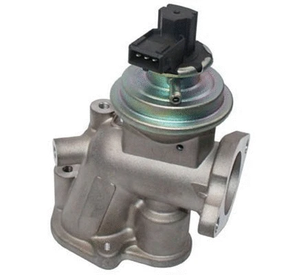 EGR Valve (571822112117)