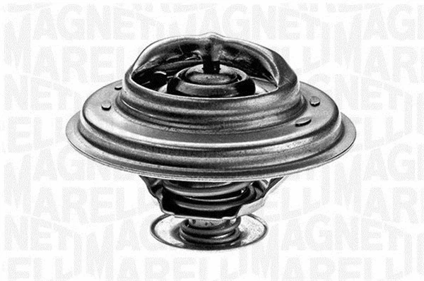 Thermostat, coolant (352055188100)