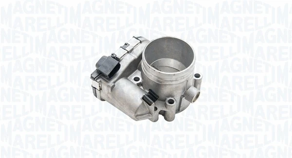 Throttle Body (802000000020)
