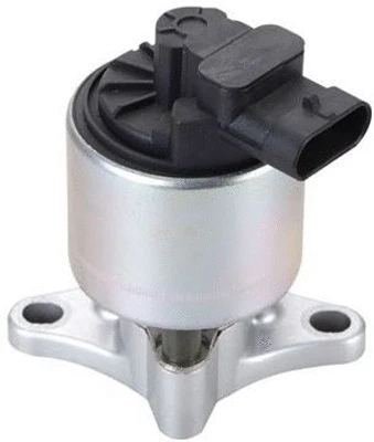 EGR Valve (359000603690)