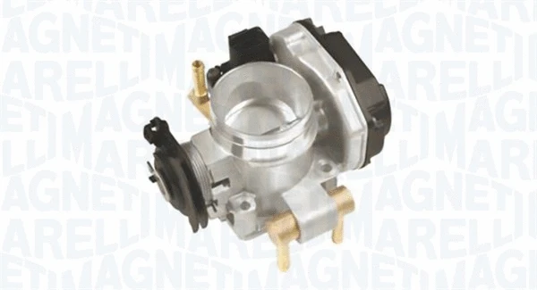 Throttle Body (802000000096)