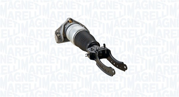 Air Suspension Strut (350018100001)