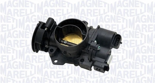 Throttle Body (802001121211)