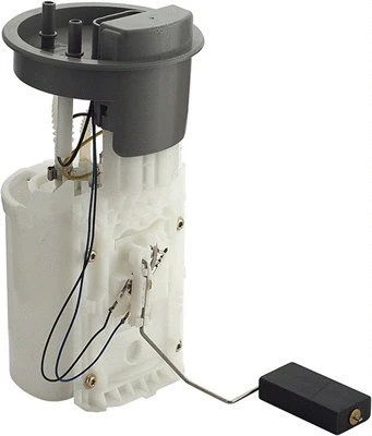 Fuel Supply Module (313011313025)