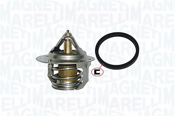 Thermostat, coolant (352317000580)