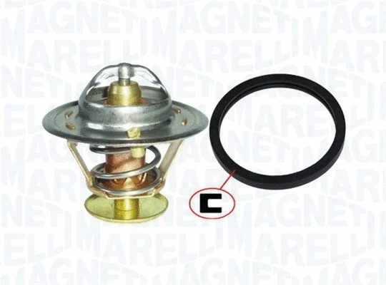 Thermostat, coolant (352317100390)