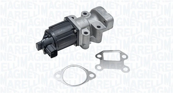 EGR Valve (572022112021)
