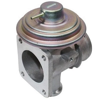 EGR Valve (571822112095)