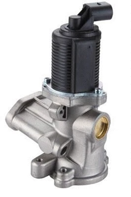EGR Valve (359000604410)