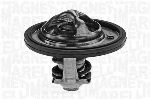Thermostat, coolant (352051382000)