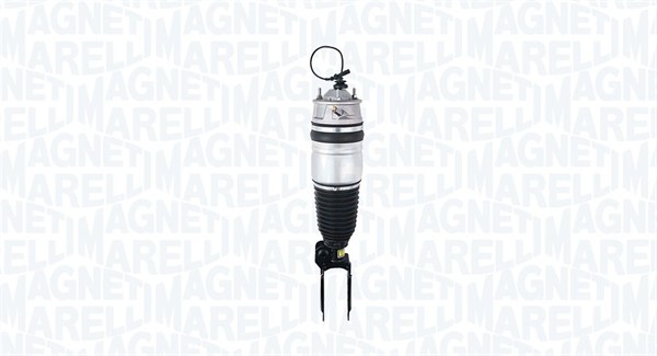 Air Suspension Strut (350051000001)