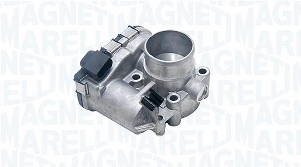 Throttle Body (802100000013)