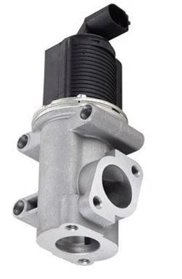 EGR Valve (359000604510)