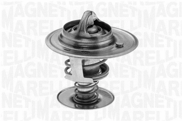 Thermostat, coolant (352056482000)